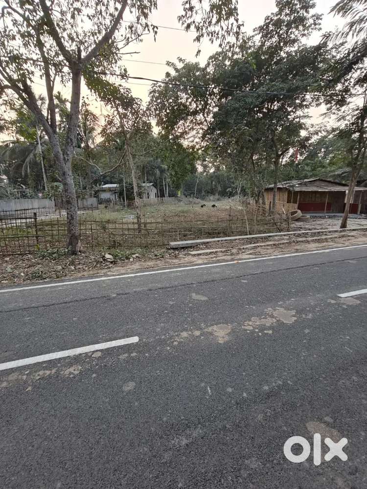 4 katha 3 lessa land for sale road side near da Parbatia idbi bank