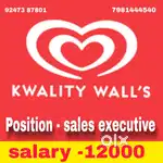 Sales man in kwality walls company