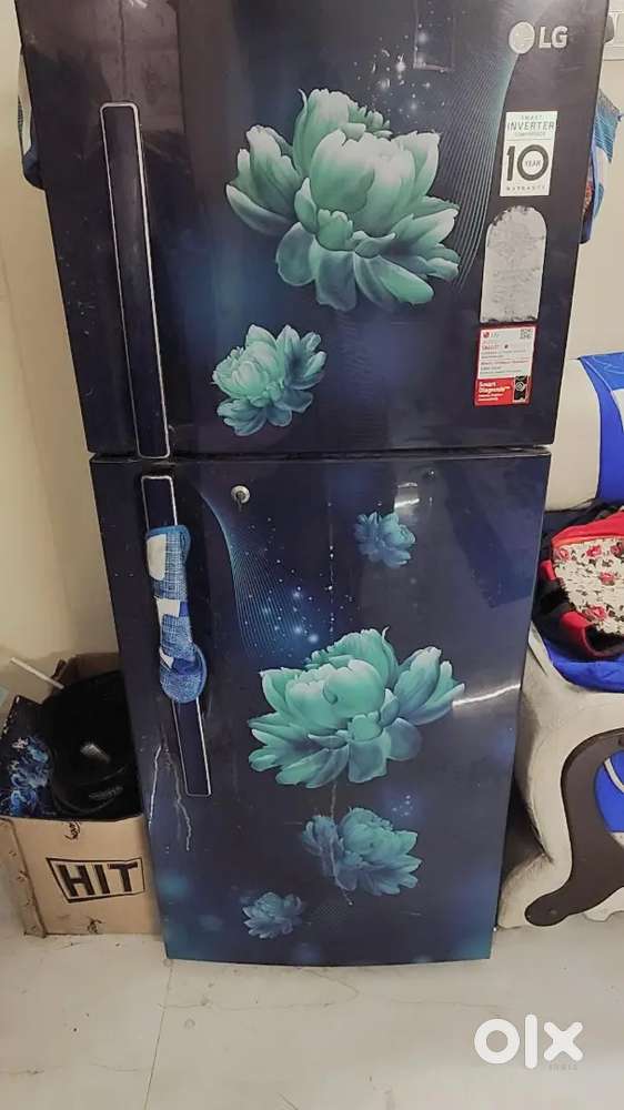 Lg fridge 2 years old
