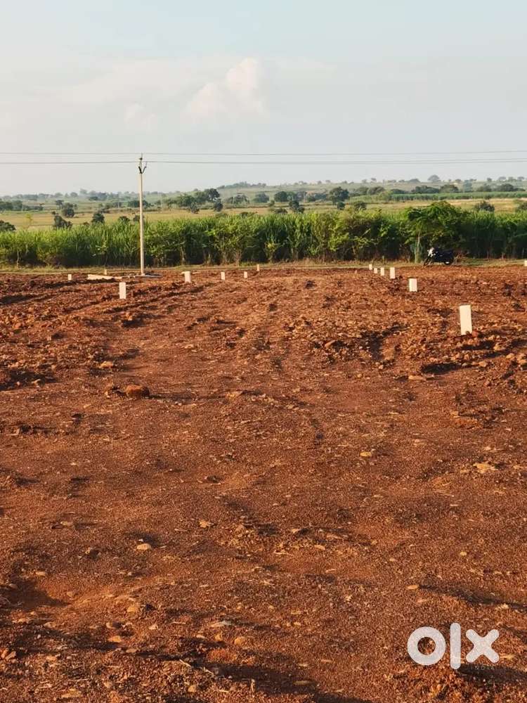 One Gunta (121sq.yds)Farm land for sale/Sangareddy@ Narayankhed