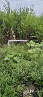 1.80acres sale from thiruvallur