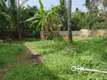 Puzhakkal Ambakkad 4 Cent Plot For Sale