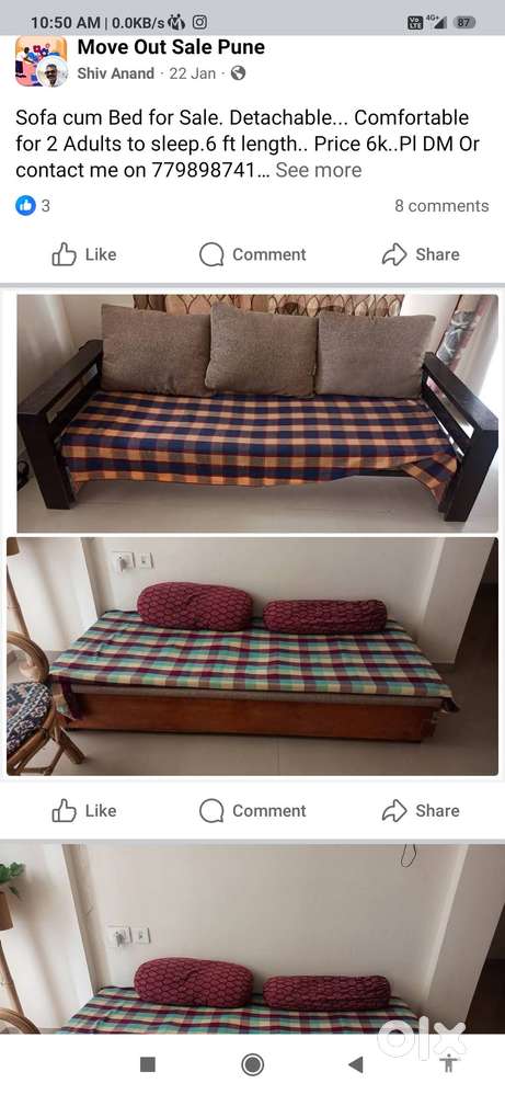 Sofa Cum Bed with 3 Cushions