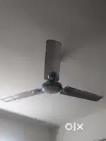 Ceiling fan