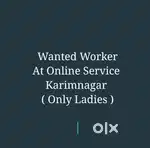 Wanted Mee seva System operator. Only Ladies