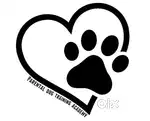 Dog trainers and groomer