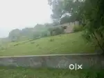 600-Var Plot 5400-sqft Open Land For Farm House In Zamp Gujarat
