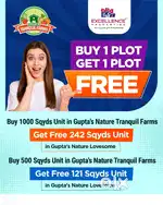 Buy one get one plot free