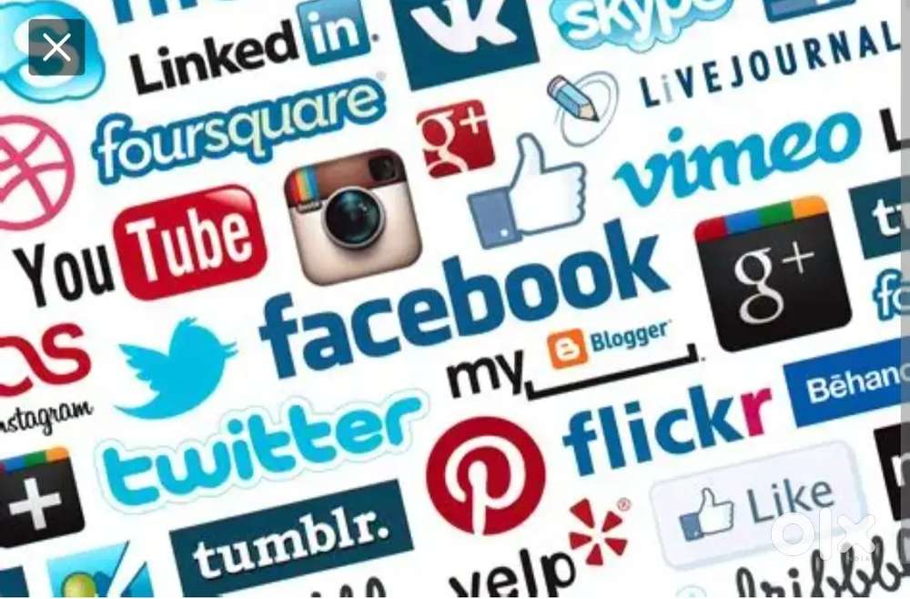Social media manager in Lucknow