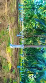 SUVARNA KUTEER PROJECTS