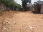 Approved land with patta