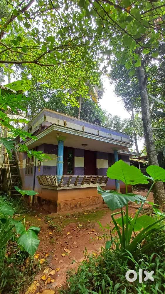 2BHK (Old) with 7CENTS LAND BIKE ACCESS WAY FOR SALE IN NELLIVILA