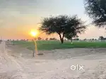 बीकानेर से मात्र 12 km की दूरी पे । SC की 24 बीघा ज़मीन