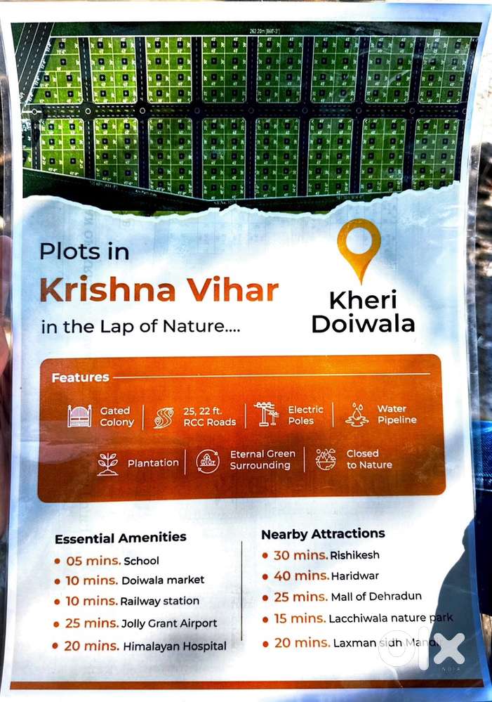 Best opportunity to invest your money