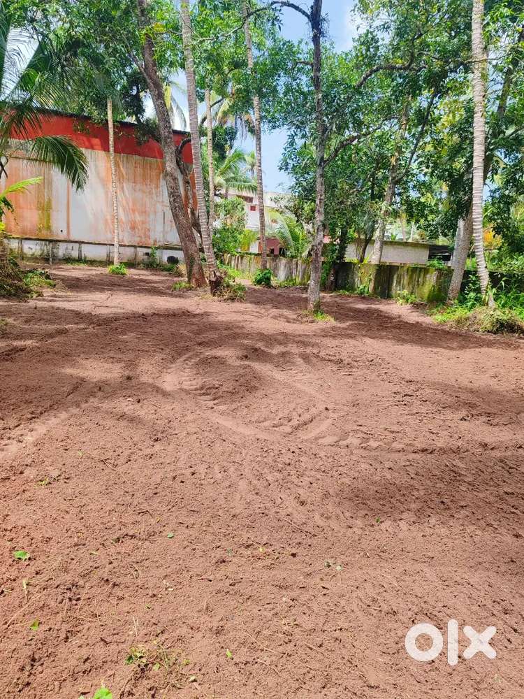 Land for sale kattanam kayamkulam