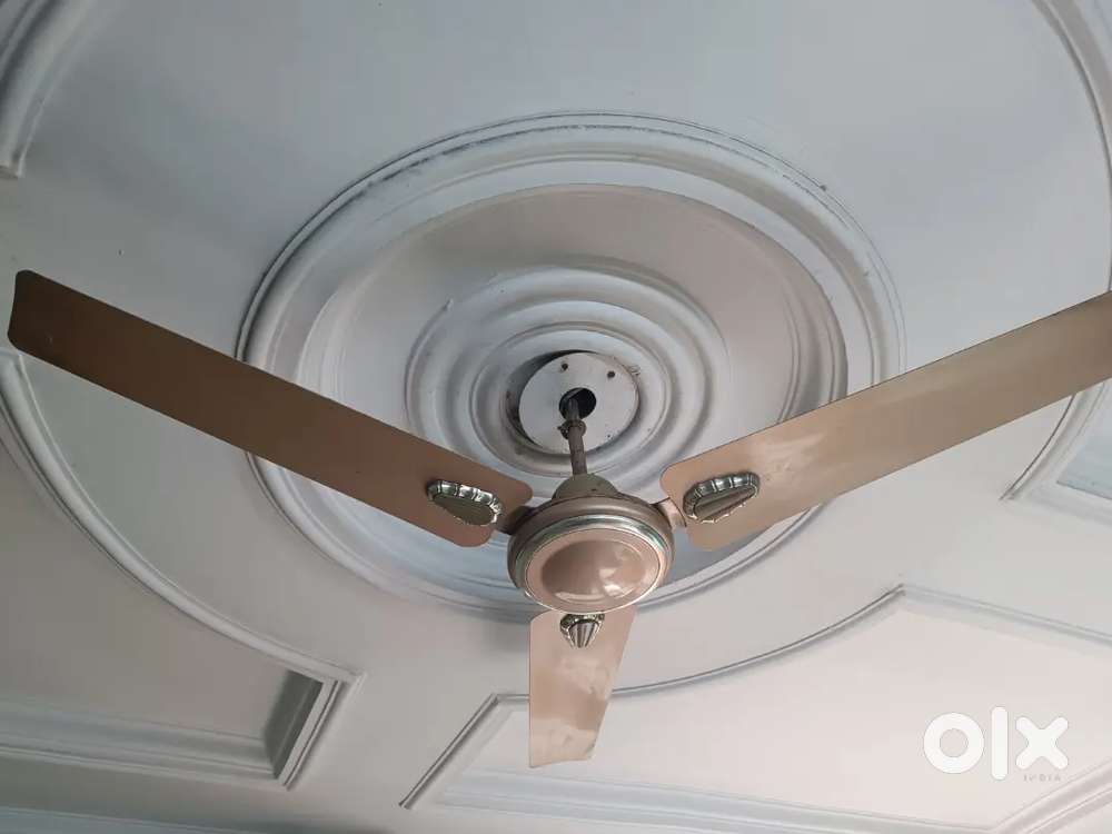 Remi Ceiling Fan 1200mm