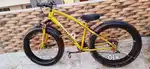 Bossin Jaguar Fat Tyre Bicycle Good Condition Shahdara