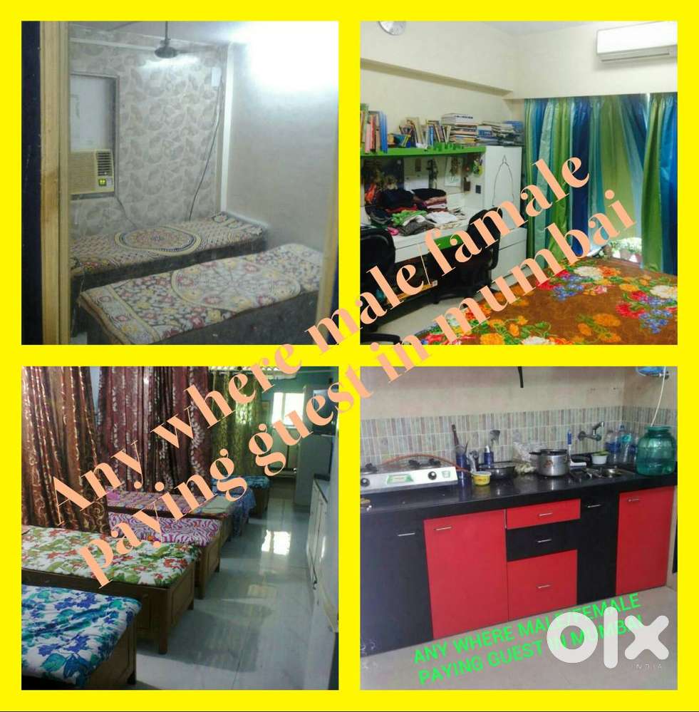 BOYS/GIRLS Dadar, Lower parel, ELPHISTONE SION, PAREL WORLI PRbhadevi