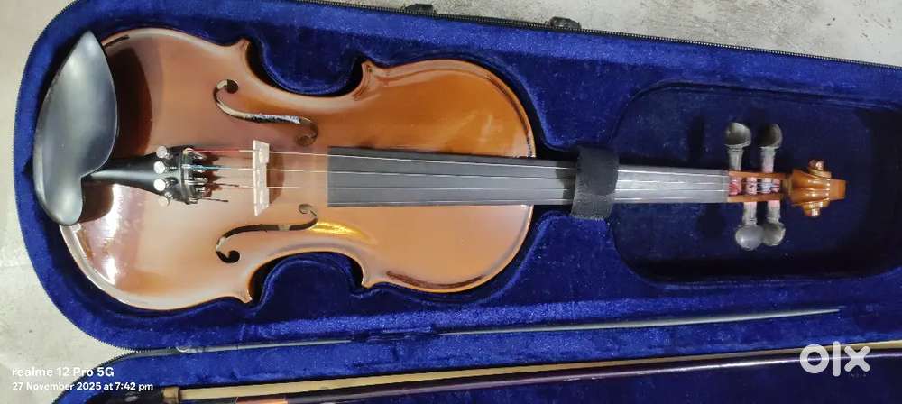 3 months old Violin