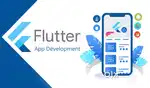 Flutter Application Developer