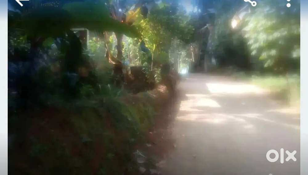 വിഴിഞ്ഞം അടുത്ത് 23 സെന്റ് വിൽപ്പനക്. സെന്റ് 350000