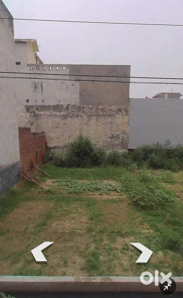 Independentl Plot  Shree Krishna Vihar  Hapur