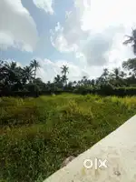 6 CENT PLOT FOR SALE KAVILNADA KONNAMMAVU