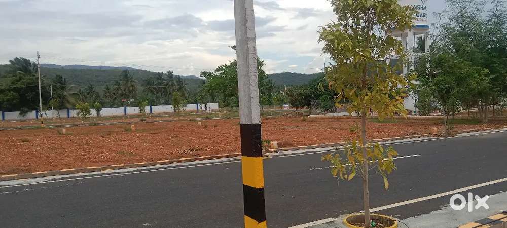 Land for sale