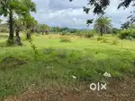 Prime NH-Side 308 Decimal Land for Sale – Kadalipala, Dhenkanal