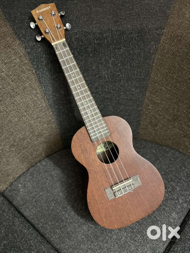 Ukulele (parrot)