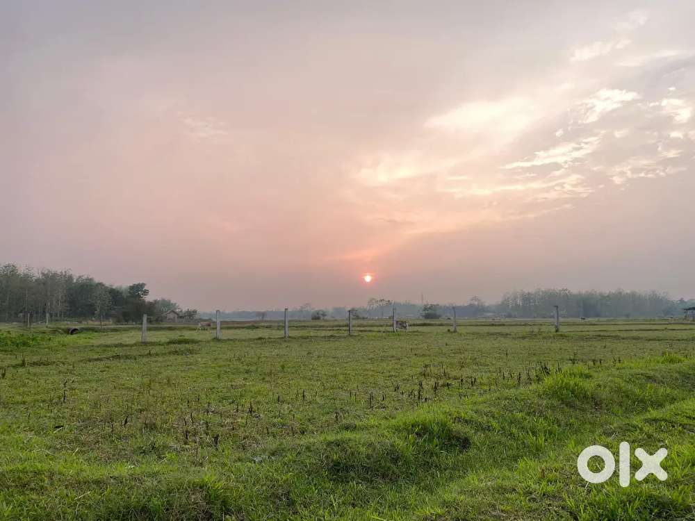 Land for sale at vihokhu Nuiland