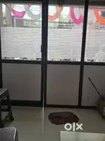 Aluminum Section Door