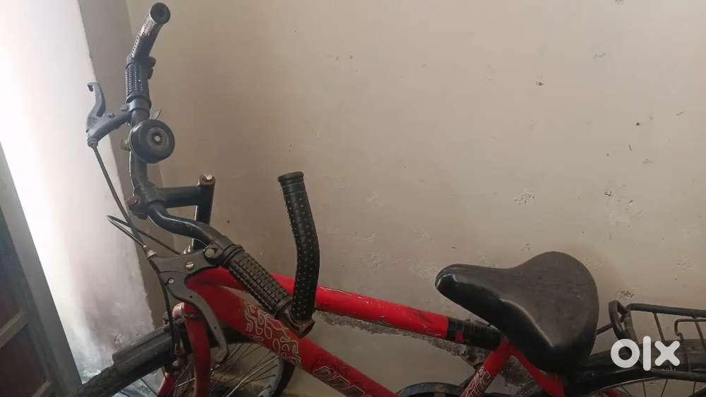 Avon cycle