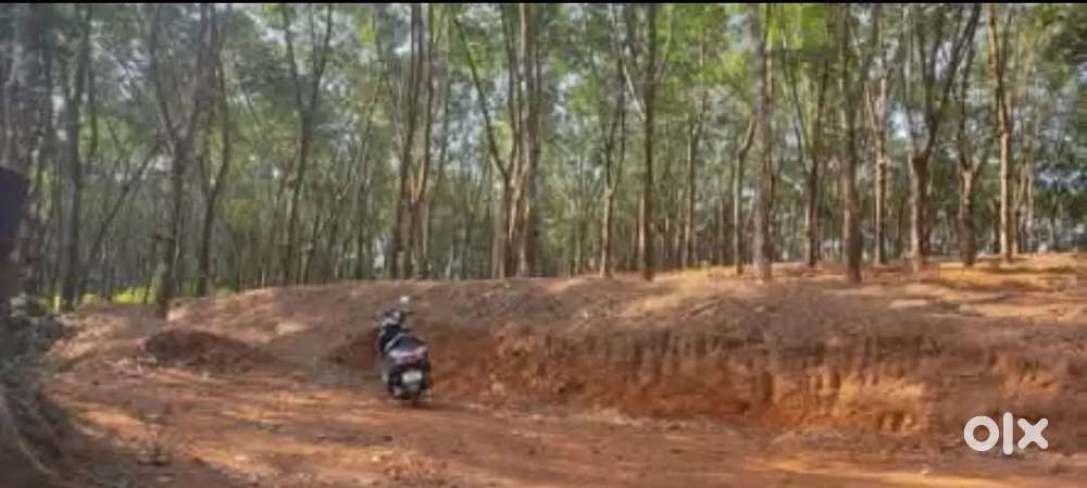 1 ഏക്കർ 10 സെൻ്റ് റബ്ബർ പുരയിടം