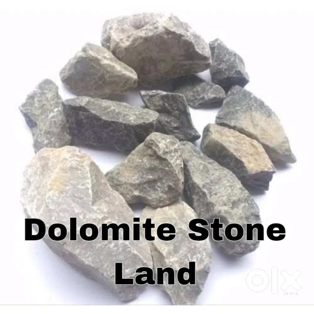 On Damar Road 8 Acre Agriculture land (Dolomite Stone) near Baradwar