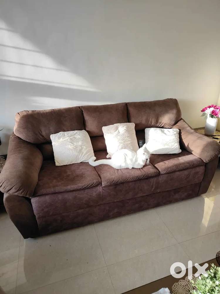 3 seater Sofa set with four single seaters