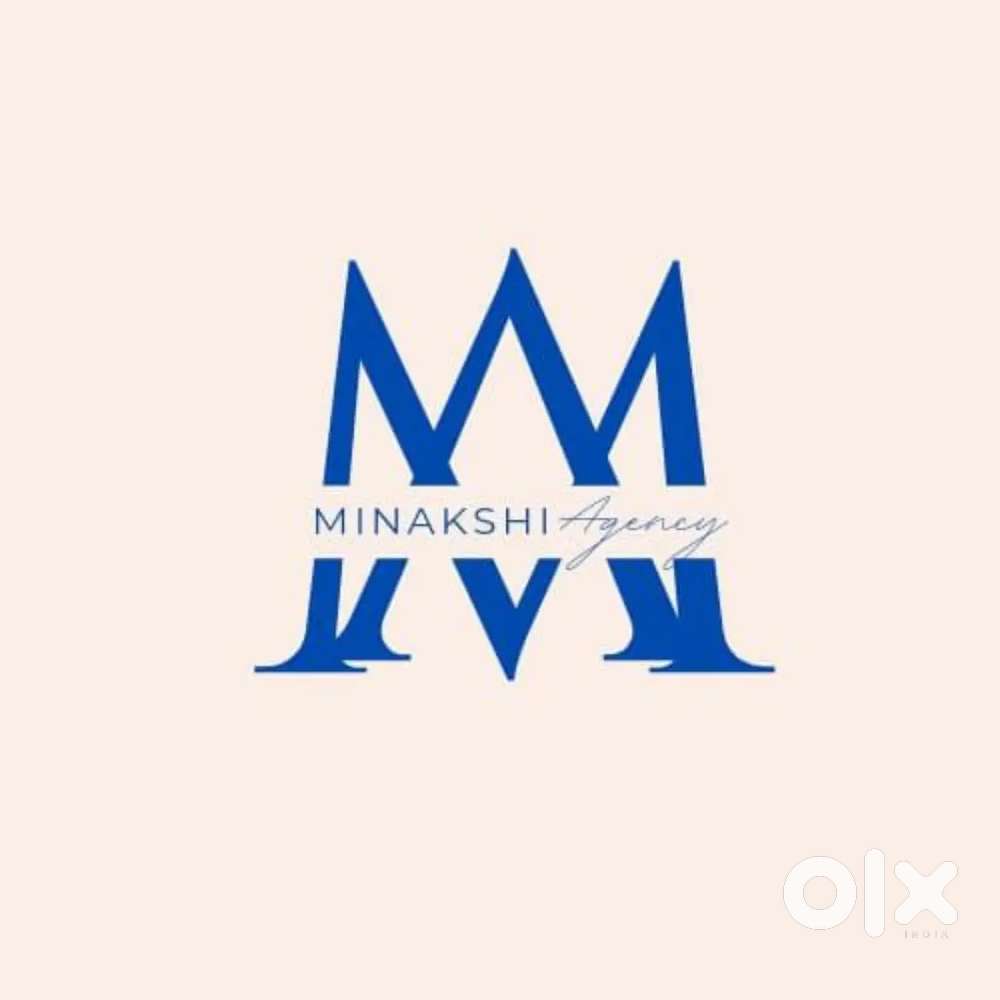 DSR - Take order from retailers & deliver those orders and collection.