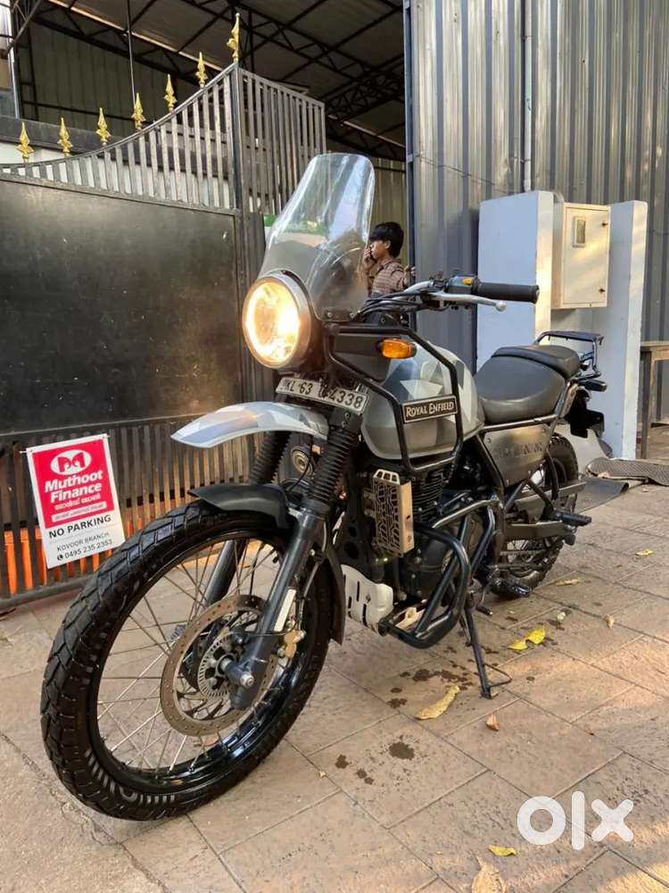 Himalayan for selling