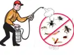 Gernal pest control