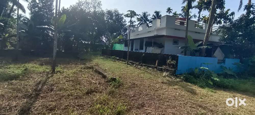 2 KM ANGAMALY NH APPOLLO HOSPITAL  5,6,8, 10 CENT PLOTS AVAILABLE