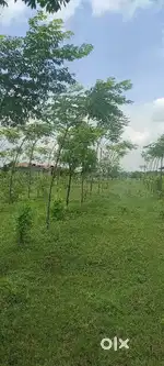 Open plots for sale