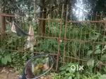 Thrissur anchery to kuttanallur 3 cent commercial plot for sale