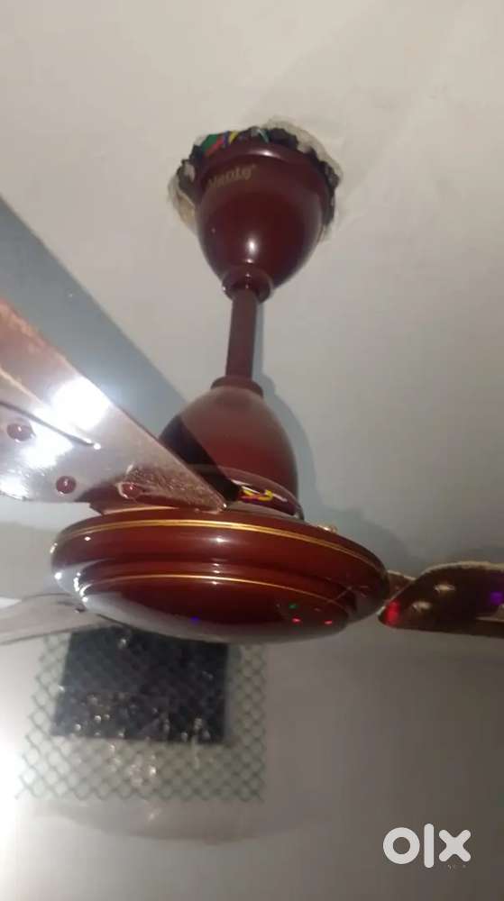 Fan Ceiling Fan