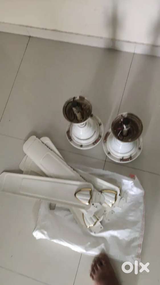 Ceiling Fan