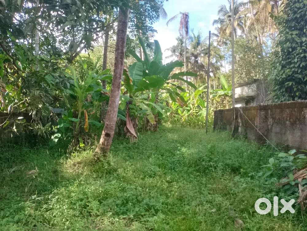 കൊല്ലം അപ്സരജംഗ്ഷനിൽ വീടുവെക്കുവാൻ അനുയോജ്യമായ വസ്തു വില്പനക്ക്