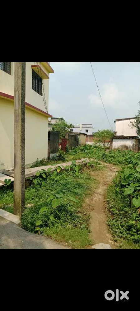 Bhuli shiv Puri near niraj memorial school