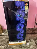 IFB Refrigerator/Fridge, Like Brand New (5 months old only)