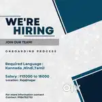 BPO TELECALLING/ONBOARDING EXECUTIVE