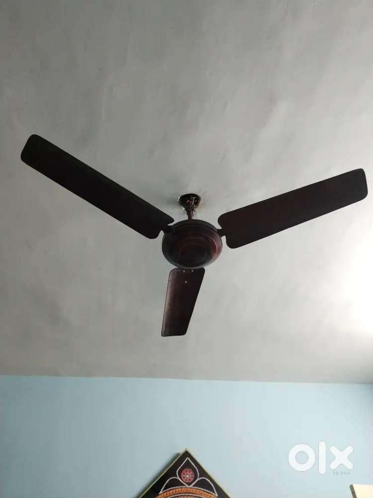 Celling fan
