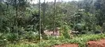 Property for selling neare munnar (anachal) 2 lakh per cent